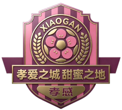孝感队队徽