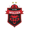 南部海岸狼队U20队徽